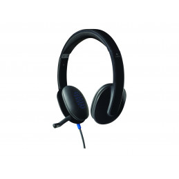 USB HEADSET H540