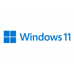 WIN 11 PRO 64BIT ENG DVD