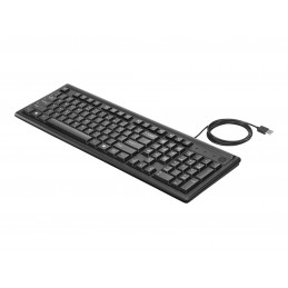 HP KEYBOARD 100