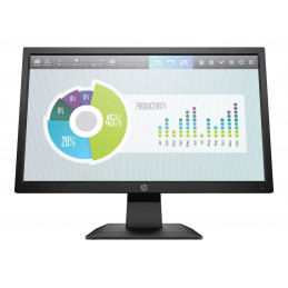 MONITOR P204V 19.5'' HD+