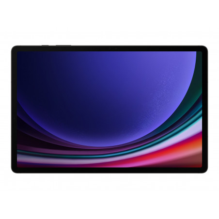 GALAXY TAB S9 5G 12256GB GRAYSYST