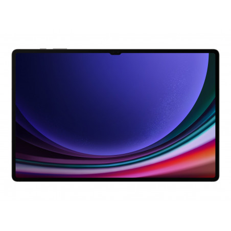 GALAXY TAB S9 ULTRA 5G 12256GBSYST