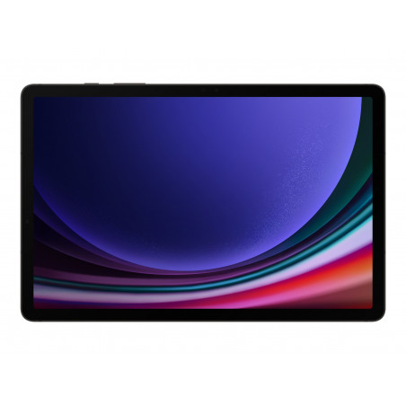 GALAXY TAB S9 5G 8128GB GRAY SYST