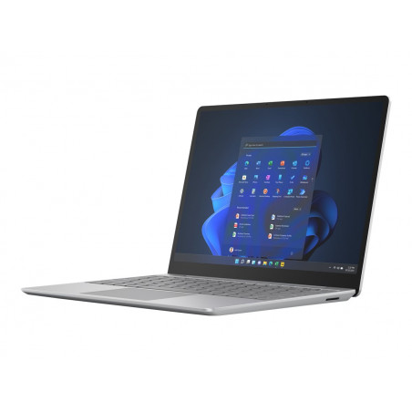 Laptop GO2 i5 8G128 PLAT ES 12.45" W11P