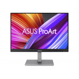 ASUS PROART DISPLAY PA248CNV